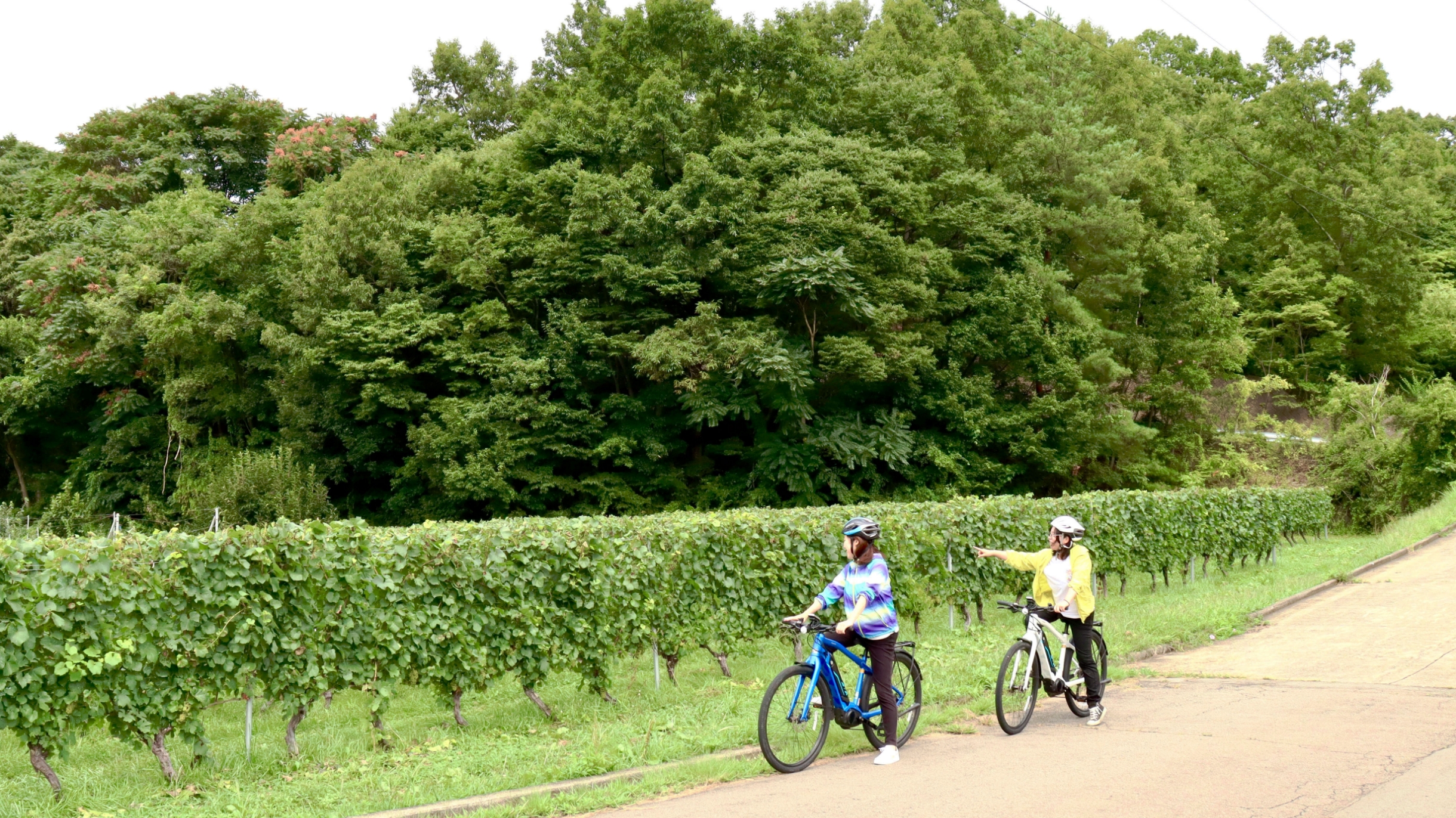 E-bike レンタル〈東御市〉